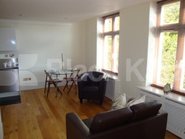 			NEW INSTRUCTION!, Studio Apartment, 1 bath, 1 reception Flat			 Fitzjohns Avenue, SWISS COTTAGE