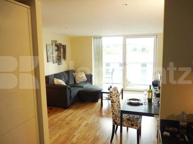 			NEW INSTRUCTION , 1 Bedroom, 1 bath, 1 reception Apartment			 Torrent Lodge  Merryweather Place, Greenwich