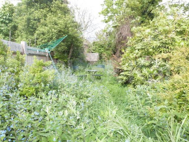 			4 Bedroom, 1 bath, 1 reception House			 Park Road, Crouch End