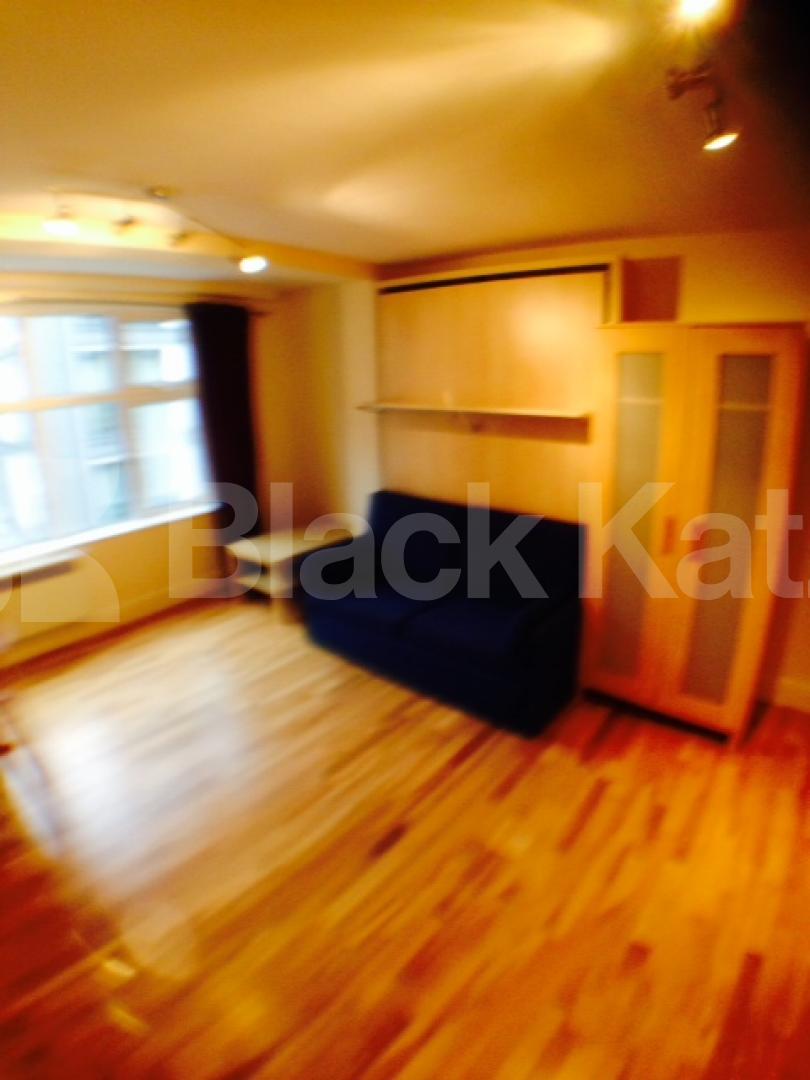 			New Instruction, Studio Apartment, 1 bath, 1 reception Studio			 Greville Street , Hatton Garden/ Farringdon/Holborn