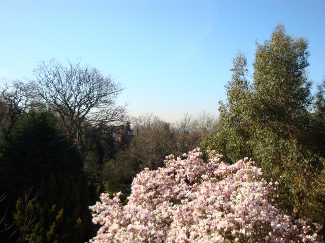 			NEW INSTRUCTION, 2 Bedroom, 1 bath, 1 reception Flat			 Redington Road, HAMPSTEAD